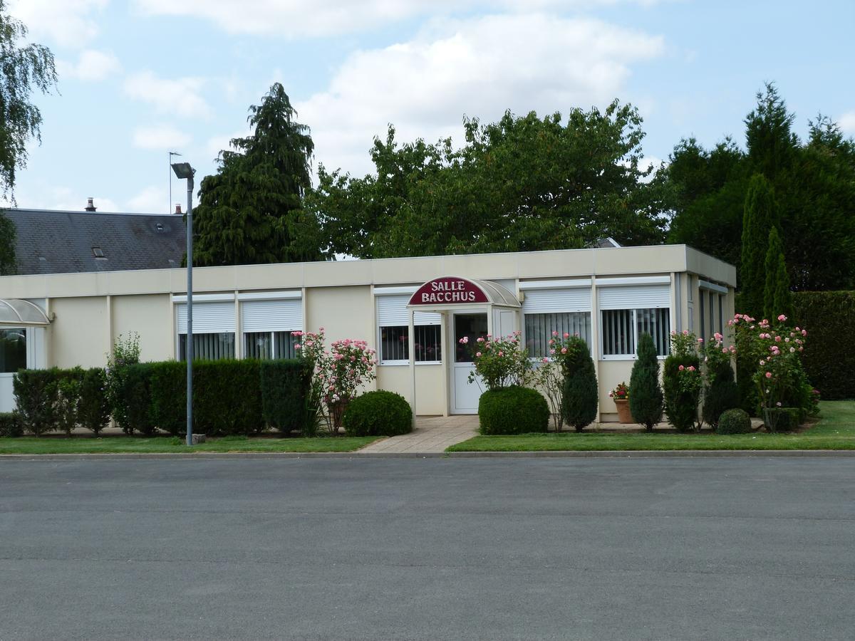 Hostellerie Du Chateau Saint-Pere-sur-Loire Exteriör bild