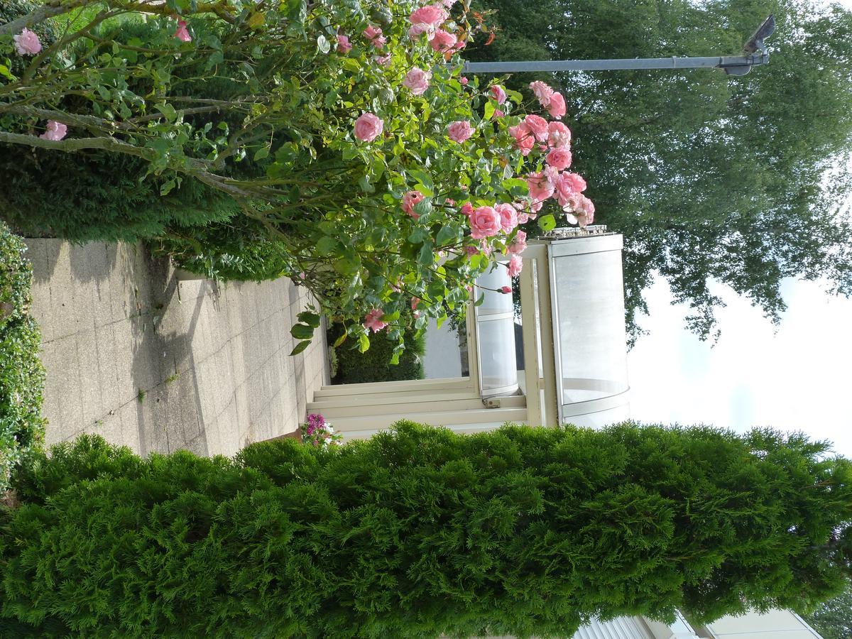Hostellerie Du Chateau Saint-Pere-sur-Loire Exteriör bild
